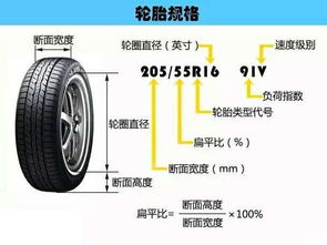 南充汽车轮胎进货价多少(南充汽车轮胎进货价深度解析) 南充汽车轮胎进货价多少(南充汽车轮胎进货价深度解析)