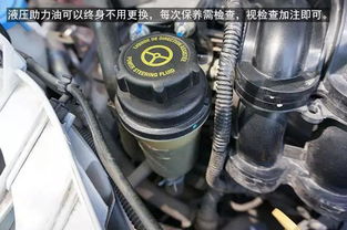 汽车要换多少种油和滤芯(汽车油液与滤芯更换全解析,种类、作用及更换时机) 汽车要换多少种油和滤芯(汽车油液与滤芯更换全解析,种类、作用及更换时机)