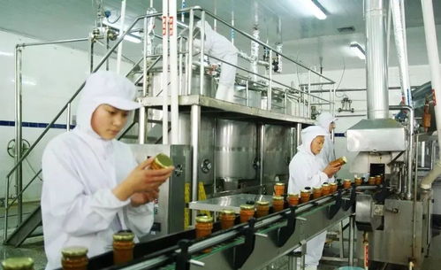 怎么查汽车过户了多少年(如何查询汽车过户了多少年—全面解析过户车辆年限查询方法)