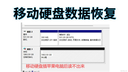 怎么免费弄华为壁纸电脑(免费获取华为壁纸电脑的方法指南) 怎么免费弄华为壁纸电脑(免费获取华为壁纸电脑的方法指南)