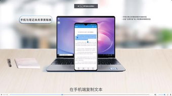 华为手机和电脑怎么share(华为手机与电脑的Share功能，轻松实现文件共享)