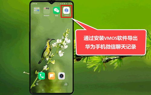华为相册怎么备份到电脑(华为相册备份到电脑的详细步骤指南) 华为相册怎么备份到电脑(华为相册备份到电脑的详细步骤指南)
