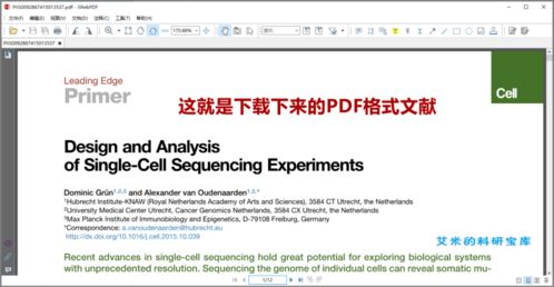 华为电脑怎么翻译英文PDF(华为电脑如何翻译英文PDF文件,全面指南) 华为电脑怎么翻译英文PDF(华为电脑如何翻译英文PDF文件,全面指南)
