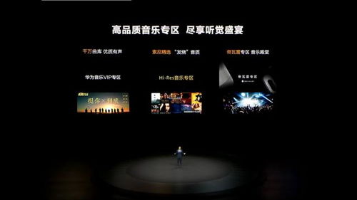 华为电脑上怎么下载歌(华为电脑上如何轻松下载歌曲—音乐爱好者的福音) 华为电脑上怎么下载歌(华为电脑上如何轻松下载歌曲—音乐爱好者的福音)