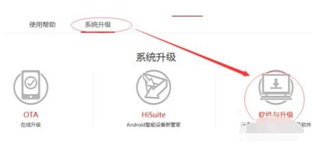 没有电脑华为怎么降系统(华为在没有电脑情况下如何进行系统降级) 没有电脑华为怎么降系统(华为在没有电脑情况下如何进行系统降级)