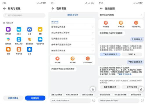 怎么投诉华为云电脑客服(如何有效投诉华为云电脑客服，步骤、技巧与建议)