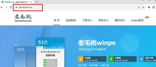新华为怎么连接电脑(新华为连接电脑的全面指南)