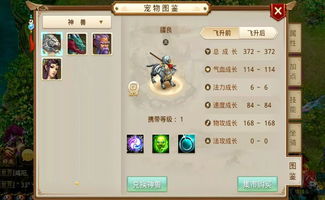 电脑怎么玩问道华为端(玩转问道华为端,电脑上的游戏攻略) 电脑怎么玩问道华为端(玩转问道华为端,电脑上的游戏攻略)