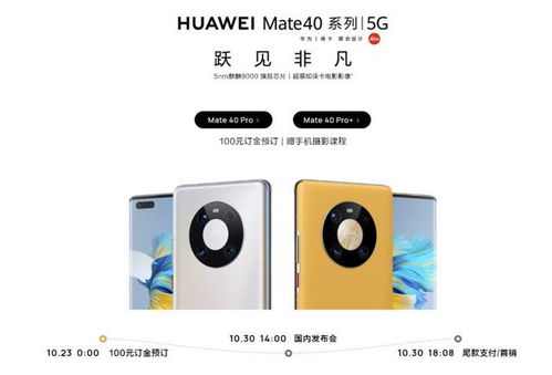 华为电脑怎么在商城订购(华为电脑商城订购指南,轻松选购心仪的电脑产品) 华为电脑怎么在商城订购(华为电脑商城订购指南,轻松选购心仪的电脑产品)