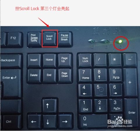 电脑键盘灯怎么开启华为(华为电脑键盘灯怎么开启—详细指南) 电脑键盘灯怎么开启华为(华为电脑键盘灯怎么开启—详细指南)