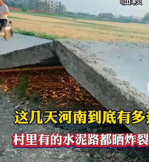 河南有水泥路热“炸”了(河南水泥路热炸现象深度解析) 河南有水泥路热“炸”了(河南水泥路热炸现象深度解析)