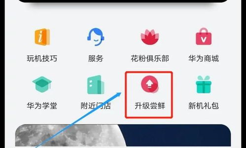 华为怎么升级高版本电脑(华为电脑高版本升级攻略) 华为怎么升级高版本电脑(华为电脑高版本升级攻略)