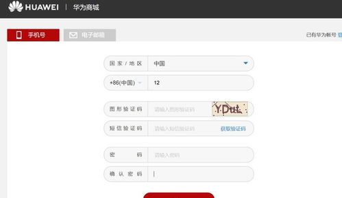 电脑抢华为怎么付钱(华为电脑抢购攻略,支付方式详解) 电脑抢华为怎么付钱(华为电脑抢购攻略,支付方式详解)