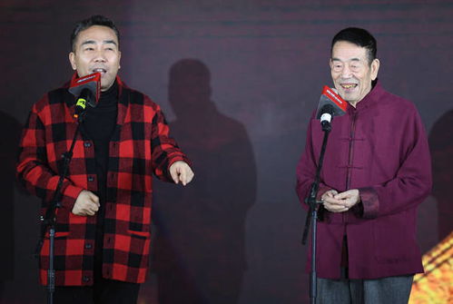杨少华曾为相声大师马三立捧哏(杨少华与相声大师马三立的捧哏艺术)