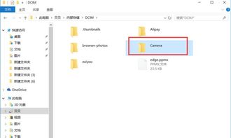 华为电脑文件怎么复制(华为电脑文件复制详解,轻松上手操作) 华为电脑文件怎么复制(华为电脑文件复制详解,轻松上手操作)