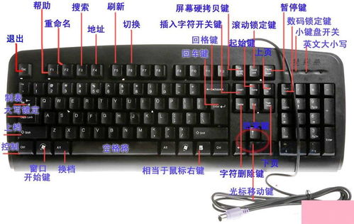 华为电脑电脑键盘怎么亮(华为电脑键盘灯光操作指南,点亮您的电脑键盘) 华为电脑电脑键盘怎么亮(华为电脑键盘灯光操作指南,点亮您的电脑键盘)