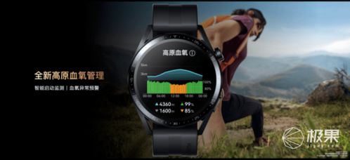华为手表怎么变电脑(华为手表与电脑的跨界融合,探索智能互联新境界) 华为手表怎么变电脑(华为手表与电脑的跨界融合,探索智能互联新境界)