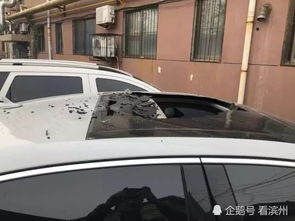 律师称被落石砸车家属索赔并无不妥(律师称被落石砸车家属索赔并无不妥—探究事件背后的法律逻辑)