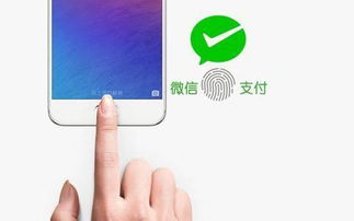 手机怎么指纹支付华为 手机怎么指纹支付华为