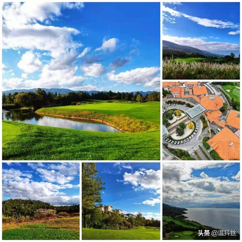 华为手机怎么拍摄秋景 华为手机怎么拍摄秋景