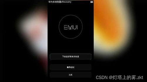 华为怎么恢复手机充电 华为怎么恢复手机充电