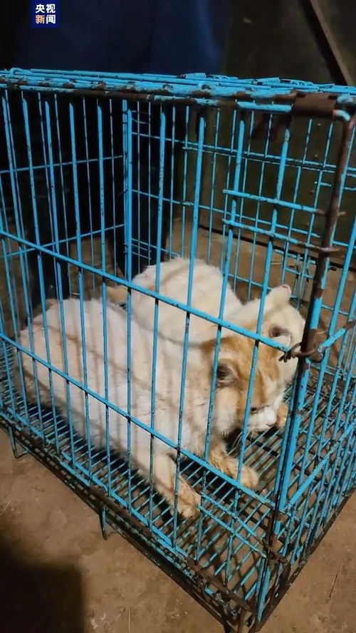 华为手机桌面怎么移出 华为手机桌面怎么移出