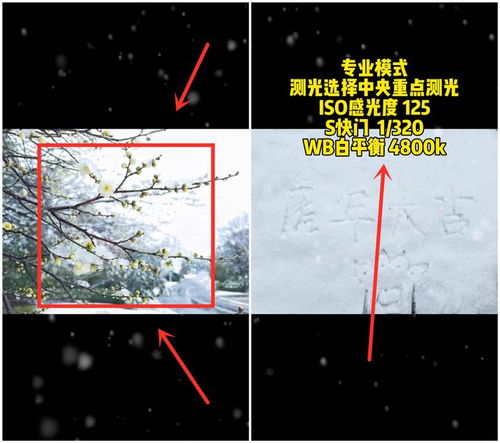 华为手机雪景怎么找 华为手机雪景怎么找
