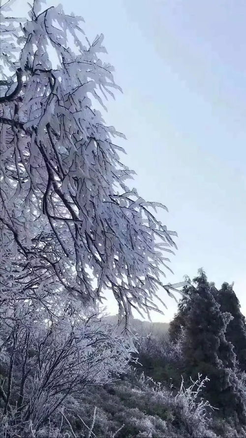 怎么安排手机桌面华为 怎么安排手机桌面华为