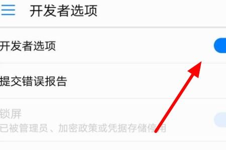 华为手机怎么投影车上