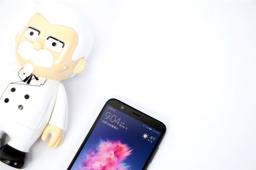 华为手机怎么拍摄花圈 华为手机怎么拍摄花圈