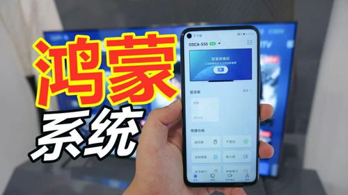 华为手机怎么接入鸿蒙