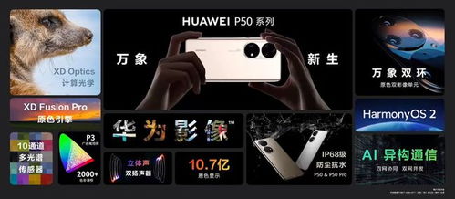 华为怎么反向升级手机 华为怎么反向升级手机