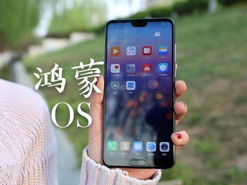 华为手机怎么抢先升级 华为手机怎么抢先升级