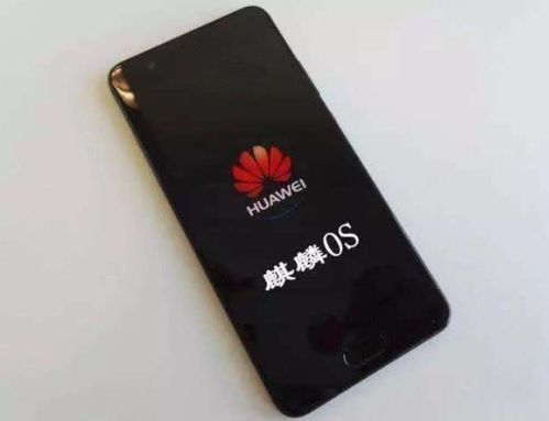 华为怎么授权手机使用 华为怎么授权手机使用