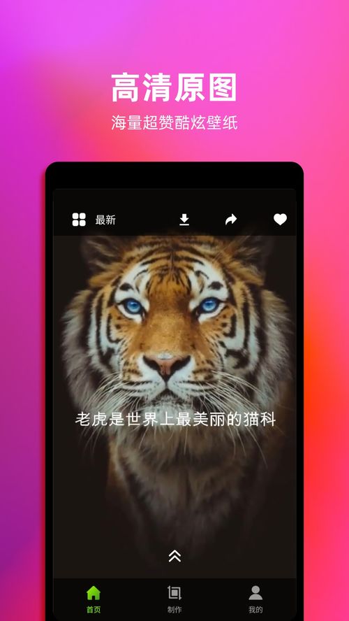 华为手机怎么动态壁纸 华为手机怎么动态壁纸