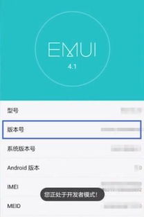 华为手机怎么设置GPU 华为手机怎么设置GPU