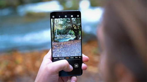 华为手机怎么拍树枝 华为手机怎么拍树枝