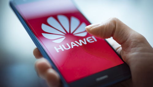 华为手机怎么选择直播 华为手机怎么选择直播