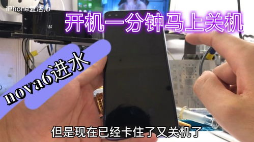 华为手机排水怎么开启 华为手机排水怎么开启