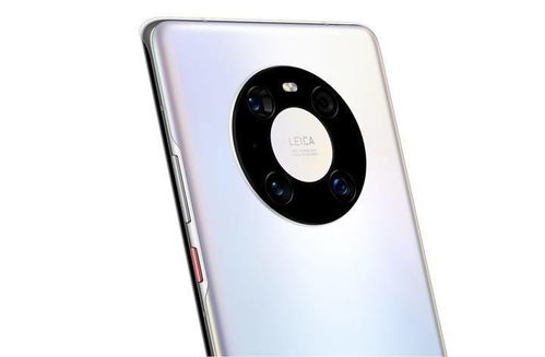 华为手机怎么拍桑椹 华为手机怎么拍桑椹