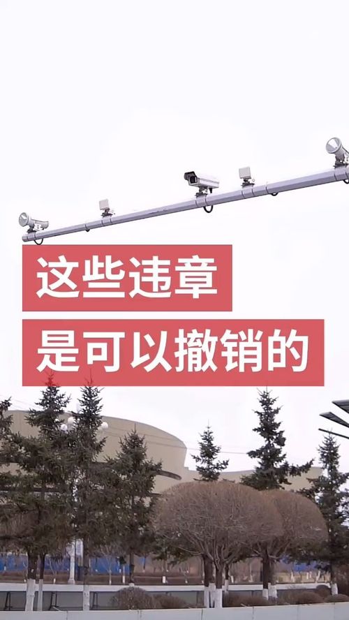 华为手机桌面怎么撤销 华为手机桌面怎么撤销