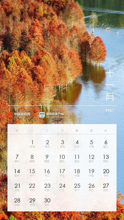 华为手机怎么安排桌面 华为手机怎么安排桌面