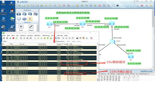华为手机ospf怎么用 华为手机ospf怎么用
