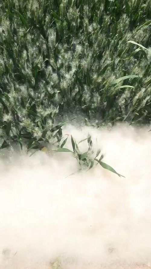华为手机怎么螺旋桌面 华为手机怎么螺旋桌面