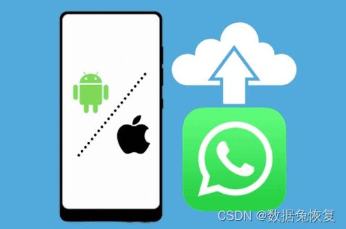 华为手机whatsapp怎么用 华为手机whatsapp怎么用