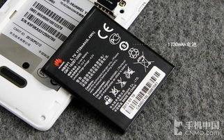 华为手机怎么养动物 华为手机怎么养动物