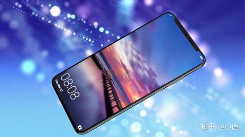华为手机怎么下载gopay 华为手机怎么下载gopay