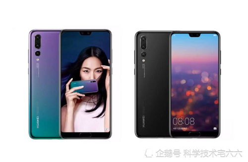 华为手机怎么拍摄鱼缸 华为手机怎么拍摄鱼缸