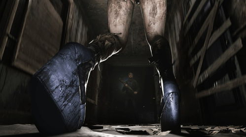 tor游戏攻略 VS 寂静岭2游戏攻略图解