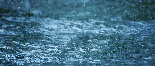 大暴雨、特大暴雨!多预警齐发 大暴雨、特大暴雨!多预警齐发